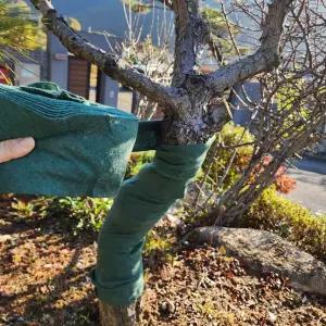 겨울 나무 보호대 랩 20m 식물보호대 월동준비 나무보호대 나무랩 부직포