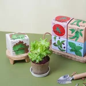 자연으로 돌아가는 오가니팟 5종 중 택1 식물키트 꿈쟁이 식물키우기