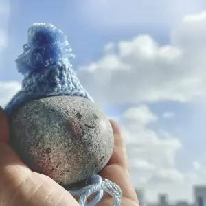 선물 펫스톤 반려석 돌맹이 행운 반려돌 돌키우기 애완용 애완돌 돌멩이 키우기