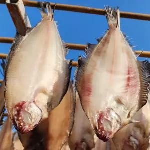 국내산 반건조 손질 기름 가자미 물가자미 미주구리