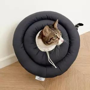 강아지목튜브 가벼운 고양이깔때기 UFO넥카라 강아지꼬깔 뚜또가또 S