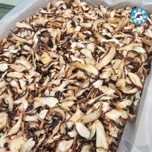 아라메 가문어살 10kg 식당용 (WFK907F)