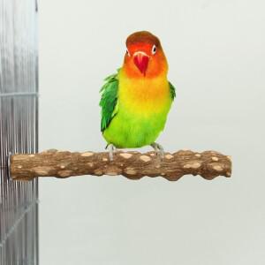 새발톱 부리 그라인딩 바 스탠딩 스틱 클로  용품 케이지 액세서리  앵무새 스테이션 15 cm  20/30