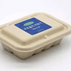 집에서 채소 재배 새싹 브로콜리 및 다양한 (WFL1252)