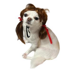 강아지 양갈래 여자머리 가발 분장 재밌는 헤어스타일