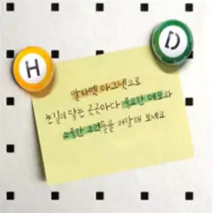 데일리셀렉션 알파벳 자석 마그네트