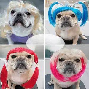 강아지 헤어 장식 가발 반려 코스튬 고양이