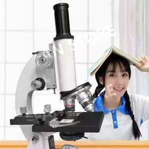 진드기경 미생물 실험실 관찰 생물 해부