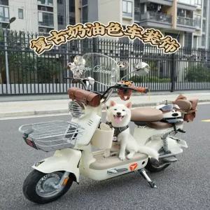 여성 전기 스쿠터 전동 이륜차