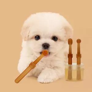 칫솔휴대용세트 반려동물칫솔청결제 반려동물칫솔케이스 칫솔혀클리너 반려동물용칫솔 디어펫 휴대용케이스 반려동물 세트 반려동물칫솔