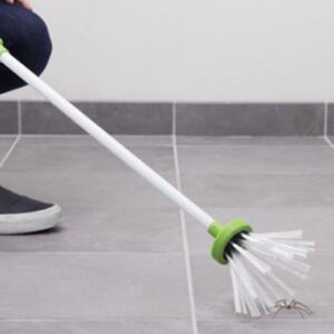 벌레 집게 집안 거미 바퀴 사체 야외 곤충채집 포획기