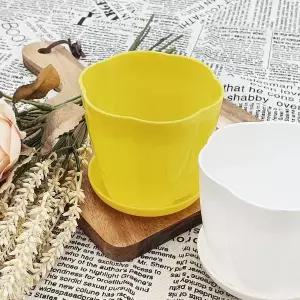 [콩심팥심]꽃 소형화분 화분 플라스틱화분 미니화분