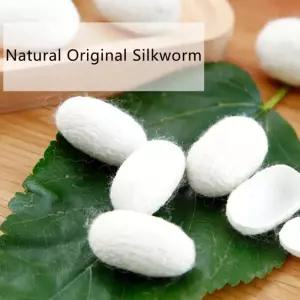 누에고치 천연 실크 유기 누에 얼굴 스킨 케어 스크럽 AQZ8+7KWW