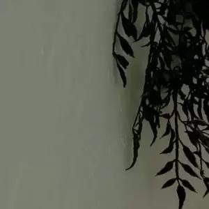 쌍문상회 크리스마스 벽트리 LED 앵두 눈꽃 전구 3m 20구