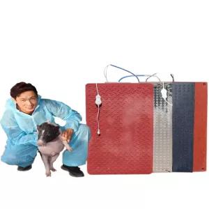 반려묘 온열 매트 방석 온열판 전기장판 전기 24x35cm 24 반려동물 애견 개