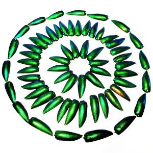 50 조각 보석 딱정벌레 Elytra 에메랄드 그린  날개 자연 곤충 Coleoptera 수제 목걸이 세트 DIY 귀걸이