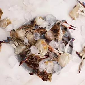 [오늘신선] 서해안 태안 신진도 산지직송 냉동 절단 꽃게 1kg 15쪽 내외 (암수랜덤)