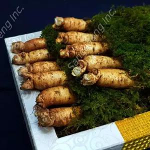 선물용 명품수삼 고급인삼 선물세트 수삼선물 2호세트