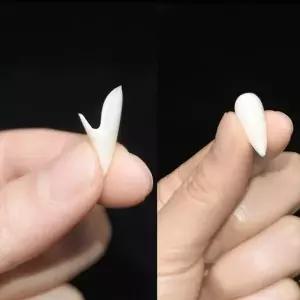 ( )송곳니 이빨 흡혈귀 소품 할로윈 마우스피스