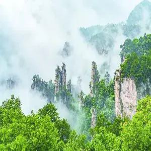 [선착순 8명한정 72기루 내부관광포함/스마트초이스]장가계/원가계 5일#천문호선쇼 #귀곡+유리잔도 #전신마사지 #관광지 중심 5성급호텔 #핫플레이스 72기루 #리무진버스 #포토북 #특식4회 #쇼핑1회