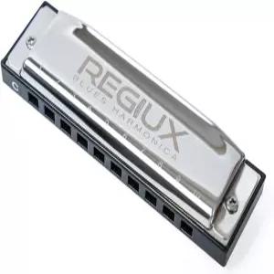 REGIUX 프로페셔널 블루스 하모니카 10홀 디아토닉 블랙 앤 실버 포크 음악 악기 캐리 케이스 포함