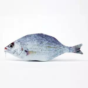 팔닥팔닥 고중딩 학생 은어 물고기 생선 필기구 필통 학용품 필기구수납