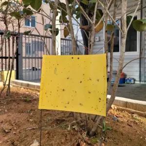 가든트랩 사각 노란 끈끈이 스티커 5매입 파리끈끈이 끈끈이트랩