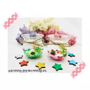 1인용 키즈카페 문화센터 어린이 집콕놀이 귀여운 마리모키우기 식물키트