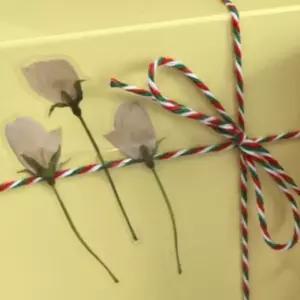 포장끈 답례품 선물포장 트와인 택끈 100m 크리스마스 트와인끈 택끈 포장끈