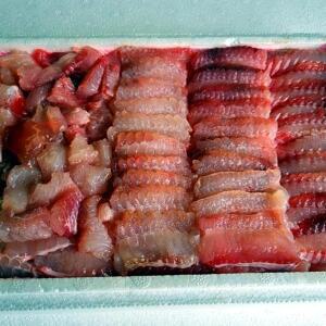 관우농가 흑산도 홍어 회 삭힌 안삭힌 목포 홍어 중간맛(중간숙성)흑산도홍어250g