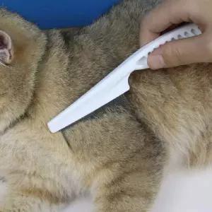 눈꼽빗 참빗 강아지콤빗 고양이브러쉬 소형