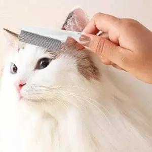 펫브러쉬 강아지얼굴빗 대형 핀브러쉬 개털빗