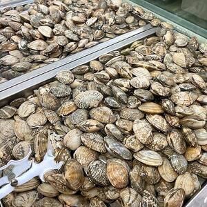 관우농가 남해 활 왕바지락 6kg