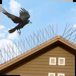 새퇴치 조류퇴치 버드스파이크 스텐 블럭 비둘기 12set