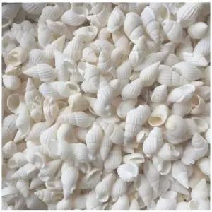 100g 흰색 미니 고동 조개 젤캔들 바다장식 조개껍질 미니조개 젤캔들조개