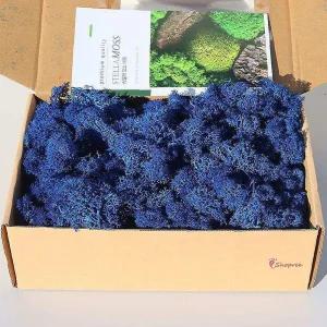 모나코플라워 스텔라 모스이끼 0704 바다심해 200g ijk101