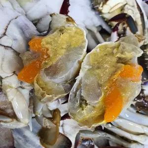 남해산 냉동 봄암꽃게 1kg3~5미 암꽃게 찜용 탕용