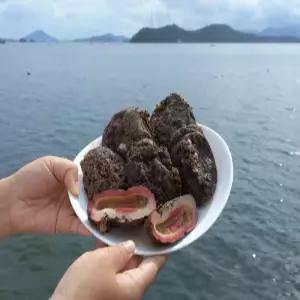 [통영] 통영산 횟감용 돌멍게 1kg(6-10미)/ 당일 횟감가능 멍게회 멍게비빔밥