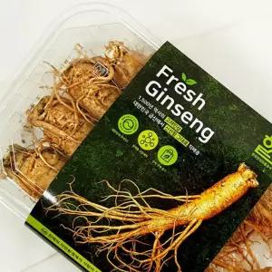 (다올)고려인삼 1호 수삼 생삼 금산인삼 강화인삼 풍기인삼