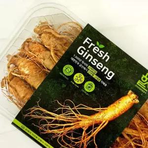 (다올)고려인삼 3호 수삼 생삼 금산인삼 강화인삼 풍기인삼