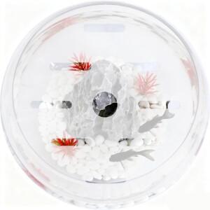 어항 뚜껑 20cm 원형 릴 투명 탈출 방지 상단 덮개 어항 테라리움용 점프 교체품