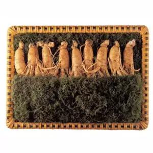 [울몸애] 바로먹는 세척 수삼 선물세트 600g (300g(8~12편) X 2팩)