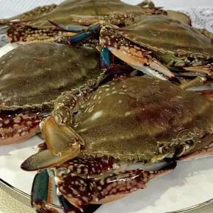 국내산 제철 냉동 숫꽃게 2kg 싱싱한 냉동 봄꽃게