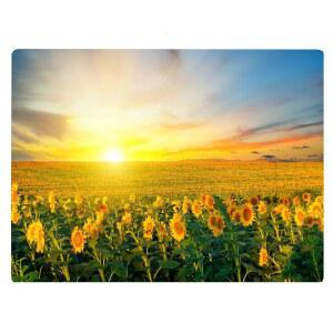 [미국배송] 여름 해바라기 해변 시즌 패턴 주방 유리 도마 장식 어머니의 날 햇살 선물 (해바라기)
