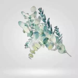 패브릭 북유럽 4호 그린유칼립투스 가림막 소 월데코포스터 패브릭데코가림막 패브릭가림막 100X70