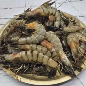 냉동 자연산 대하 2kg