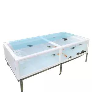 아크릴 어항 사육장 오픈형 대형 화이트 거북이 용품