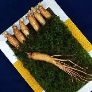 (1151)(B) 수삼선물세트 1호 + 금보자기