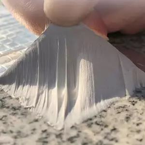 방수테이프 바닥 옥상 누수 10cmX5m