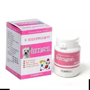 강아지관절영양제 반려동물 인트라젠 200정 면역력 피모 멀티비타민 프리바이오틱스 강아지 고양이 건강